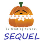 Square Sequel Consulting – Organisational Transformation Consulting India